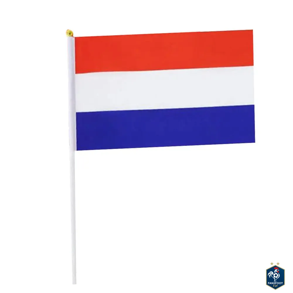Lot de 10 Drapeaux à Main - Pays foot