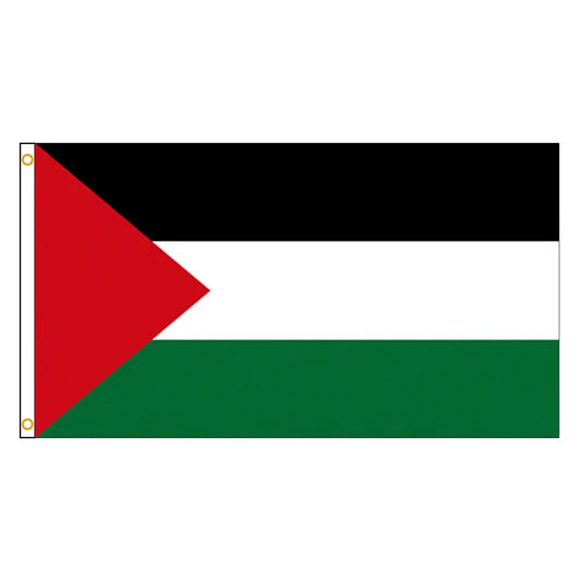 Drapeau Palestine 90x150 cm-Fan2Foot