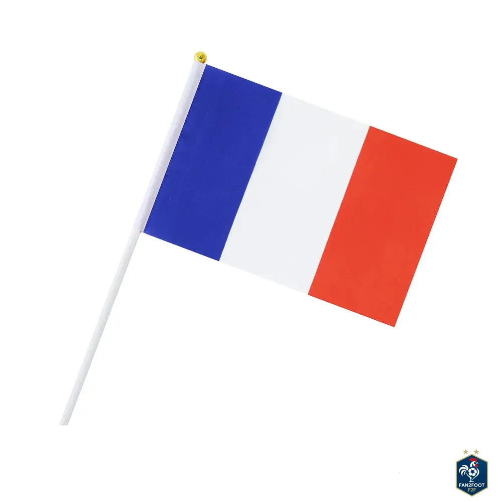 Lot de 10 Drapeaux à Main - Pays foot