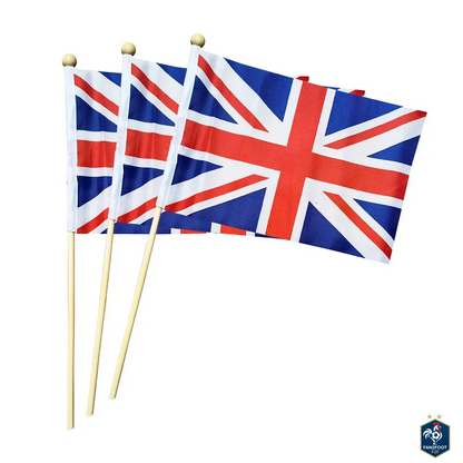 Lot de 10 Drapeaux à Main - Pays foot